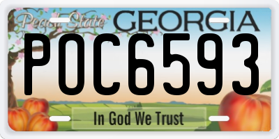 GA license plate POC6593