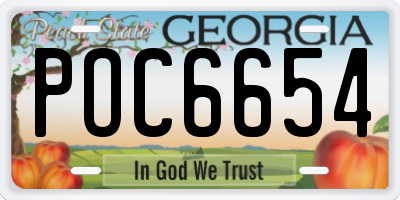 GA license plate POC6654