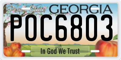 GA license plate POC6803