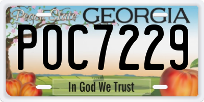GA license plate POC7229
