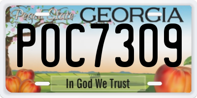 GA license plate POC7309