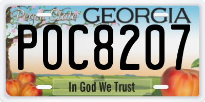 GA license plate POC8207