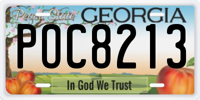 GA license plate POC8213