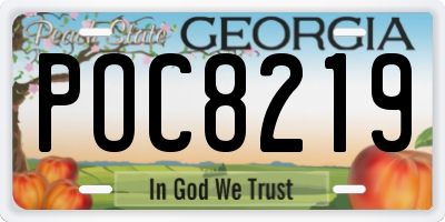 GA license plate POC8219