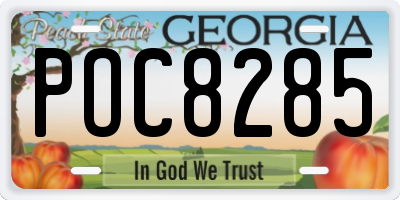 GA license plate POC8285