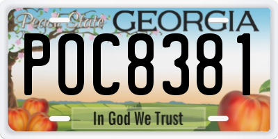 GA license plate POC8381