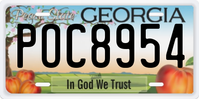 GA license plate POC8954