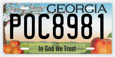 GA license plate POC8981