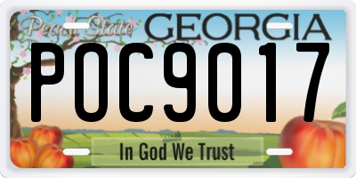 GA license plate POC9017