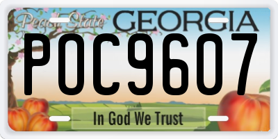 GA license plate POC9607