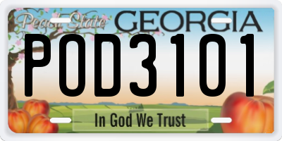 GA license plate POD3101