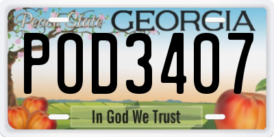 GA license plate POD3407