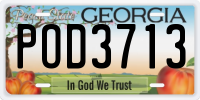GA license plate POD3713