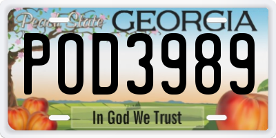 GA license plate POD3989