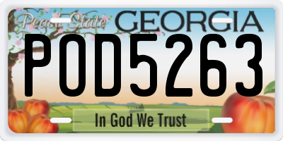 GA license plate POD5263
