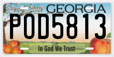 GA license plate POD5813