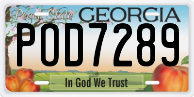 GA license plate POD7289