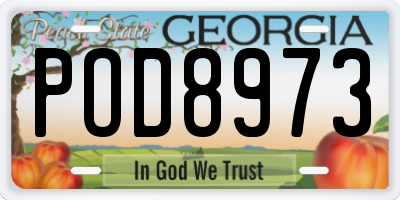 GA license plate POD8973