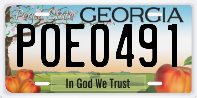 GA license plate POE0491