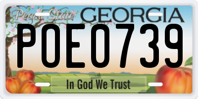 GA license plate POE0739
