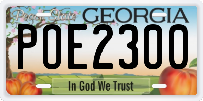 GA license plate POE2300