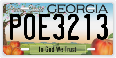 GA license plate POE3213