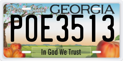 GA license plate POE3513