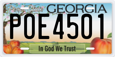 GA license plate POE4501