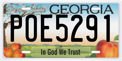 GA license plate POE5291
