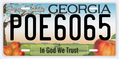 GA license plate POE6065