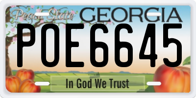 GA license plate POE6645