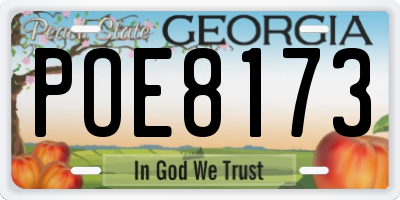 GA license plate POE8173