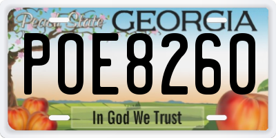 GA license plate POE8260