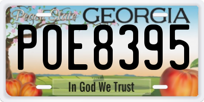 GA license plate POE8395