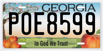 GA license plate POE8599