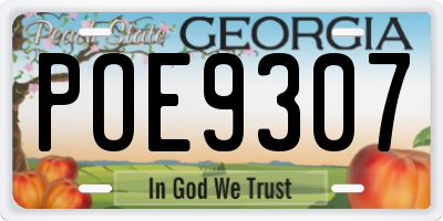 GA license plate POE9307