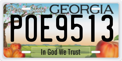 GA license plate POE9513