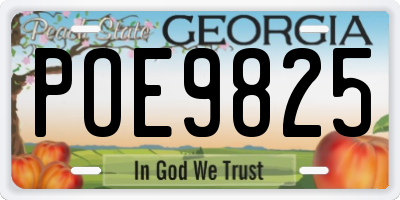 GA license plate POE9825