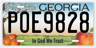 GA license plate POE9828