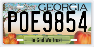 GA license plate POE9854