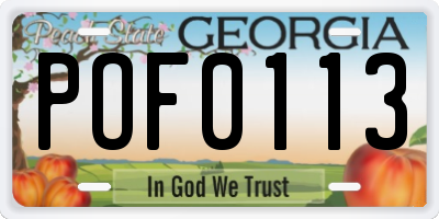 GA license plate POF0113