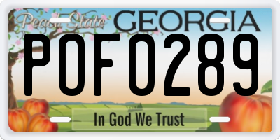 GA license plate POF0289