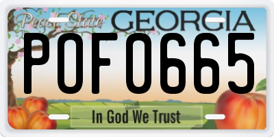 GA license plate POF0665