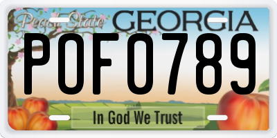 GA license plate POF0789