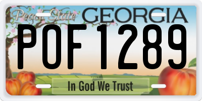 GA license plate POF1289