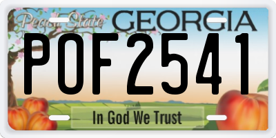 GA license plate POF2541