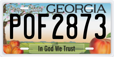 GA license plate POF2873