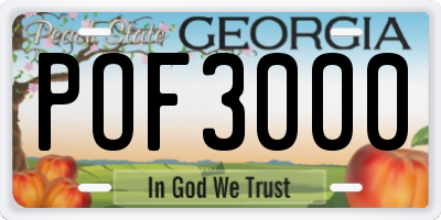 GA license plate POF3000
