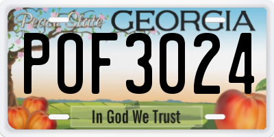 GA license plate POF3024