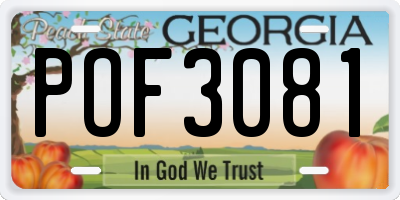 GA license plate POF3081